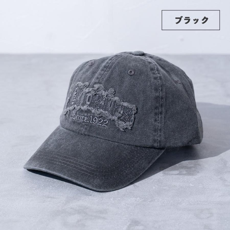 Dickies 【Dickies】DK EX PIGMENT FRINGE LOGO CAP/全4色 : JUGLANS