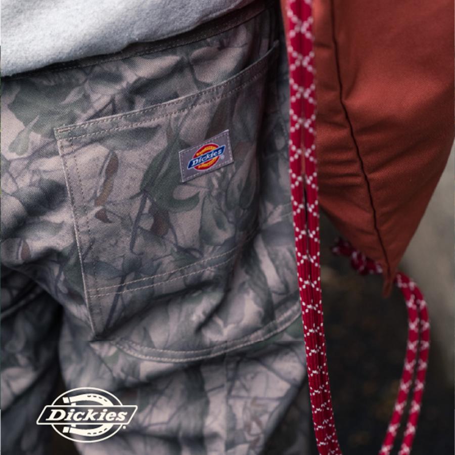 Dickies（ディッキーズ） 【Dickies】2053 Model Double Knee Utility