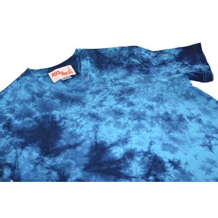 インディゴTシャツ ASCENSION / INDIGO TEE 藍染タイダイ（黒部