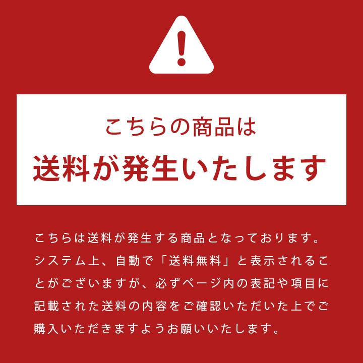 物置 フロア オプション 「メタルシェッドオプション ウッドフロア TM1HF用（調整束付）」【TM1 HF本体別売】｜juicygarden｜02