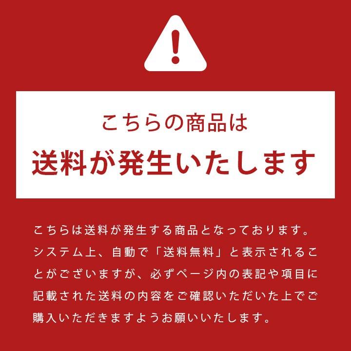 収納庫 屋外 おしゃれ「ケター（KETER） ストアイットアウト ミディ（StoreItOotMIDI）」 幅132×奥行71.5×高さ113.5cm 小型 物置 防水 DIY｜juicygarden｜02