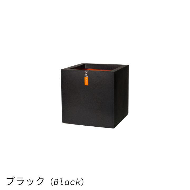 植木鉢 おしゃれ 軽量「カピ(Capi) アーバンスムース スクエア Sサイズ(30×H30cm)」10号鉢相当/大型/ブラック・ダークグレー/底穴なし|郵便ポスト・表札のJUICYGARDEN|12