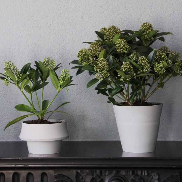 プランター 鉢 植木鉢 ポット ベース POT ガーデニング シリコン