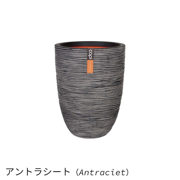 楽天市場】鉢 フラワー・ガーデニング capi ストライプ模様 植木鉢