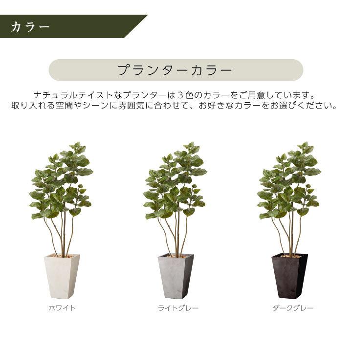 フェイクグリーン鉢セット 大型「ウンベラータ×Tall Square w/g」高さ