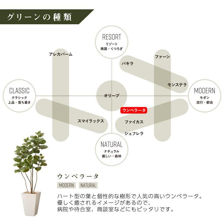 フェイクグリーン鉢セット 大型「ウンベラータ×Tall Square w/g」高さ