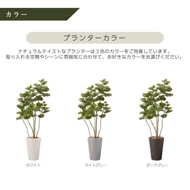 フェイクグリーン鉢セット 大型「ウンベラータ×Tall Round w/g」高さ170cm フィカス ゴムの木 人工観葉植物 インテリアグリーン おしゃれ リアル 室内 オフィス｜juicygarden｜11