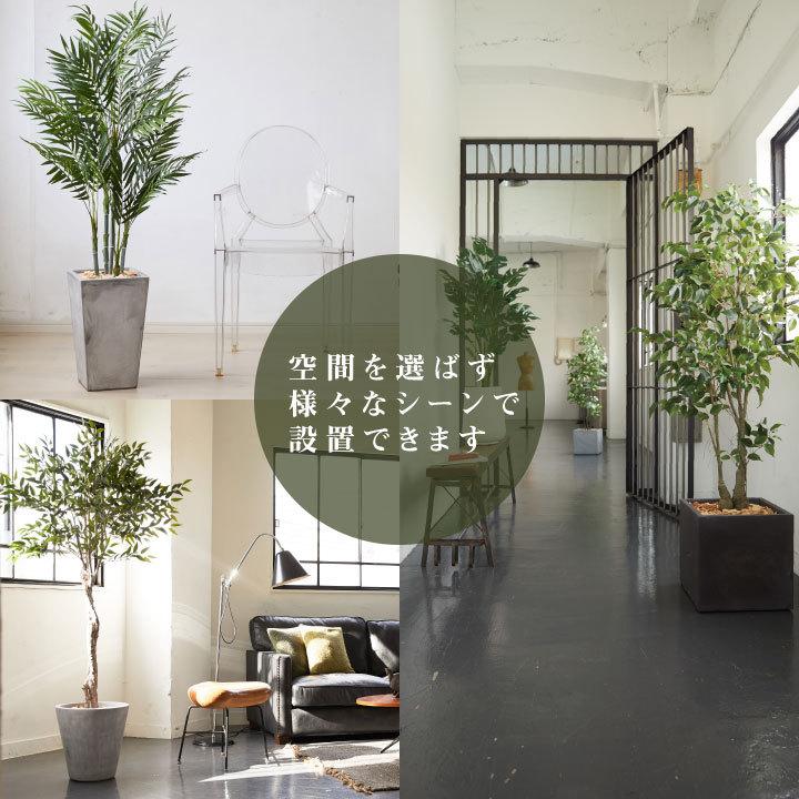 フェイクグリーン鉢セット 大型「ウンベラータ×Tall Round w/g」高さ 
