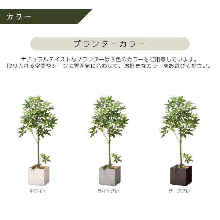 インリア　フェイクグリーン フェイクグリーン鉢セット 大型「パキラ×Cube w/g」高さ165cm 人工観葉