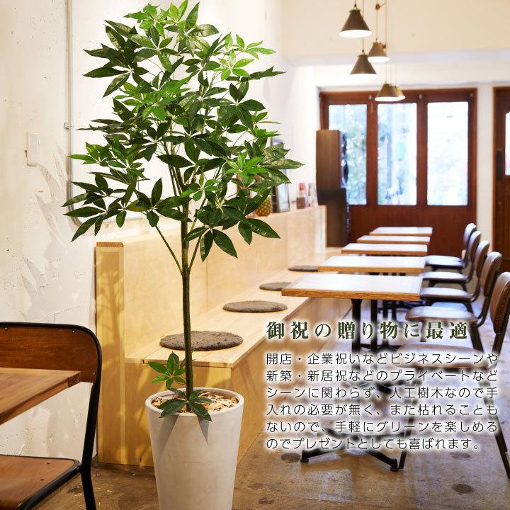 フェイクグリーン鉢セット 大型「パキラ×Tall Square w/g」高さ170cm