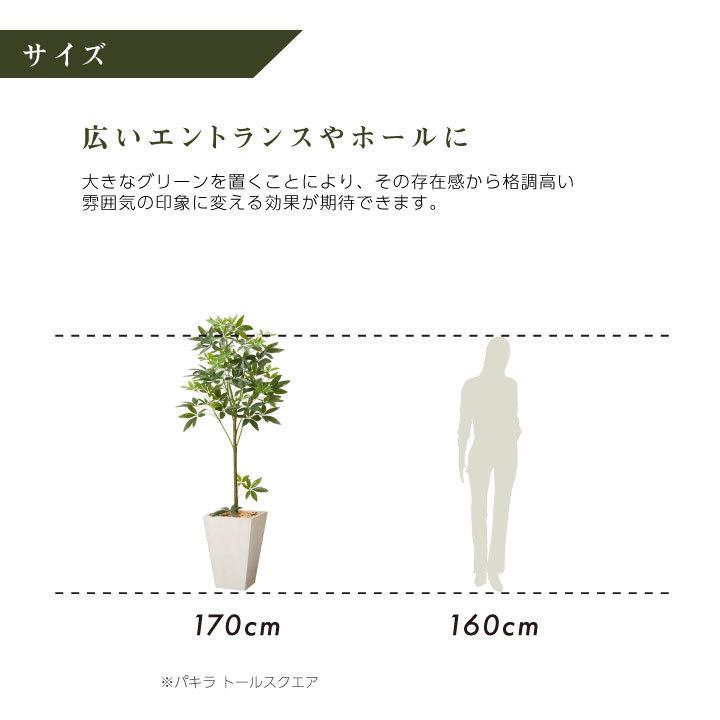 フェイクグリーン鉢セット 大型「パキラ×Tall Square w/g」高さ170cm