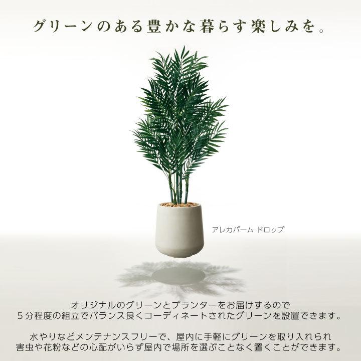 フェイクグリーン鉢セット 大型「ファーン×Cube w/g」高さ155cm 人工