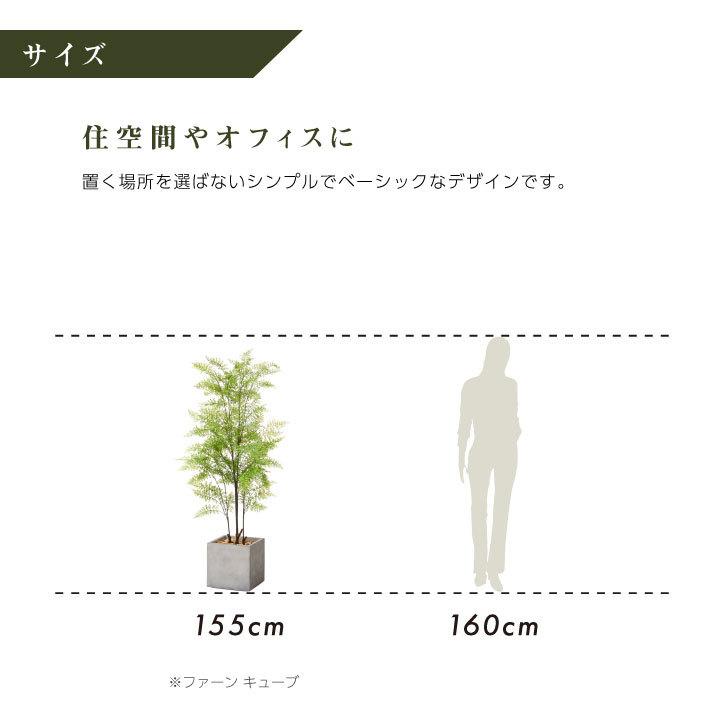 フェイクグリーン鉢セット 大型「ファーン×Cube w/g」高さ155cm 人工