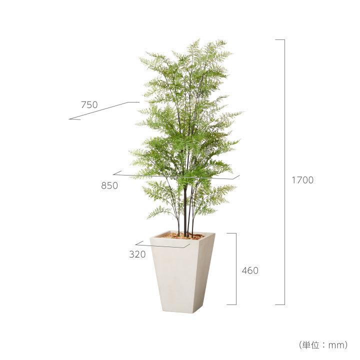 フェイクグリーン鉢セット 大型「ファーン×Tall Square w/g」高さ170cm