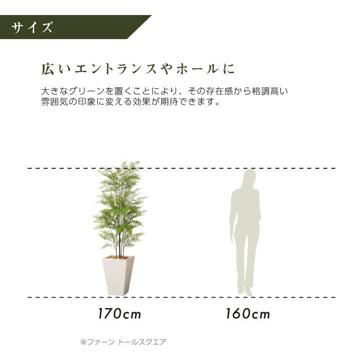フェイクグリーン鉢セット 大型「ファーン×Tall Square w/g」高さ170cm