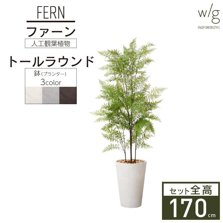 フェイクグリーン鉢セット 大型「ファーン×Tall Round w/g」高さ