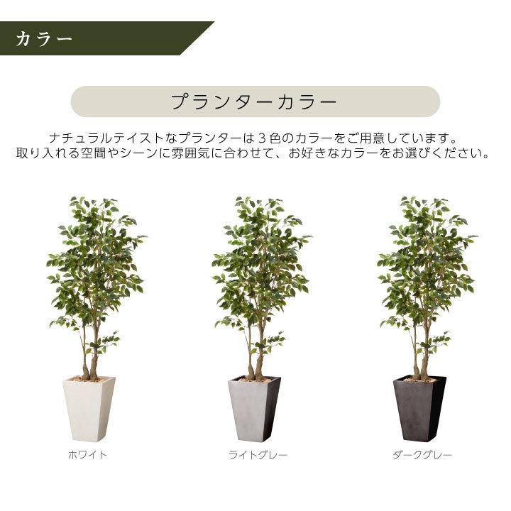 フェイクグリーン鉢セット 大型「ファイカス×Tall Square w/g」高さ