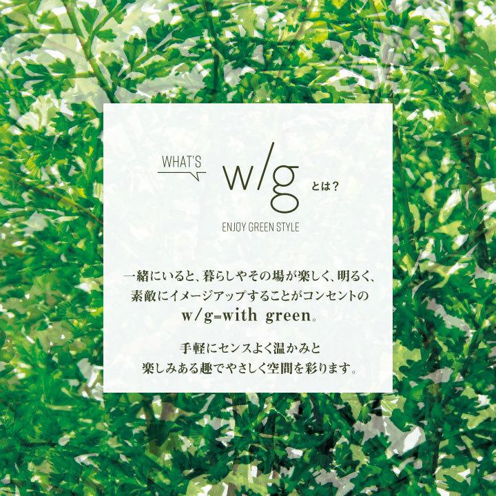 フェイクグリーン鉢セット 大型「ファイカス×Tall Square w/g」高さ