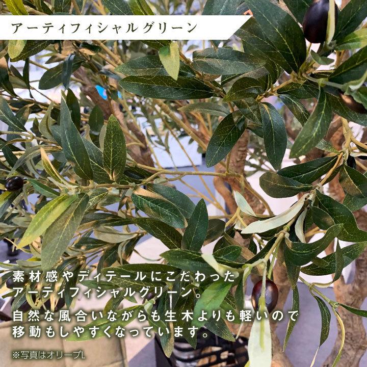 フェイクグリーン鉢セット 大型「ファイカス×Tall Square w/g」高さ