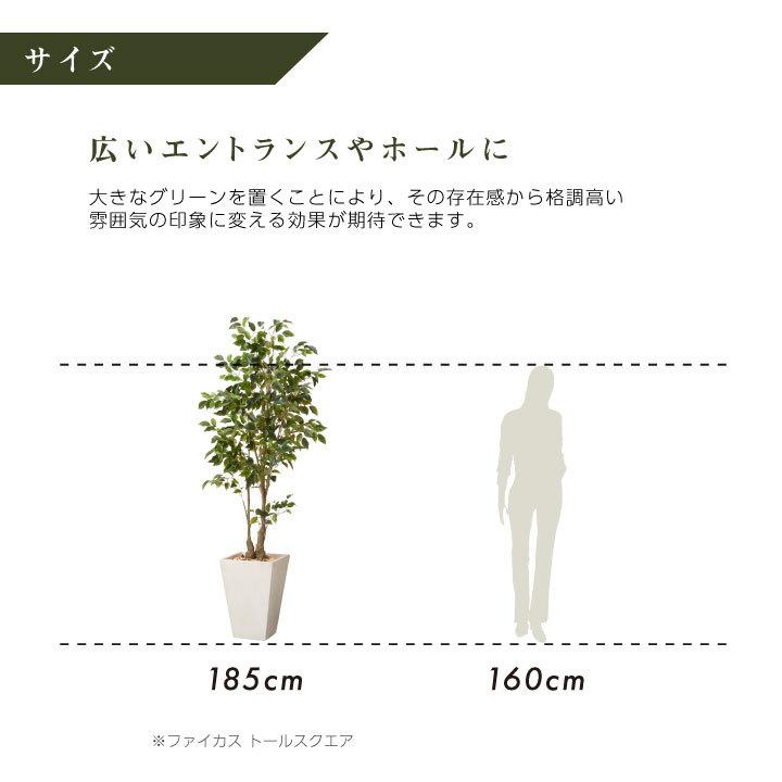 フェイクグリーン鉢セット 大型「ファイカス×Tall Square w/g」高さ
