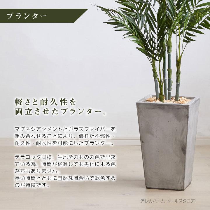 フェイクグリーン リアル 大型「シェフレラ×Cube w/g」高さ150cm 人工