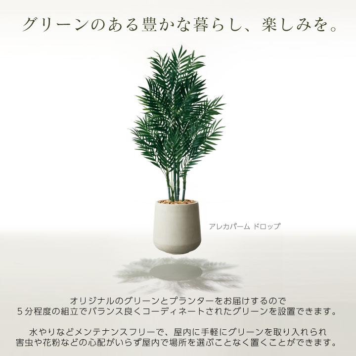 フェイクグリーン鉢セット 大型「丸葉ユーカリS×トールラウンド フェイクグリーン鉢セット 大型「丸葉ユーカリS×トールラウンド
