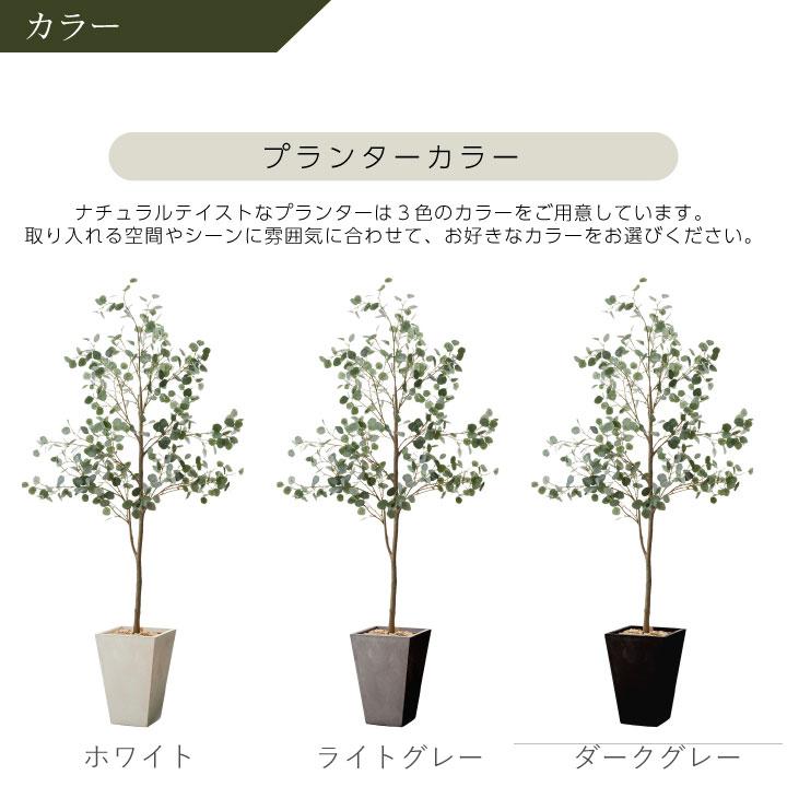フェイクグリーン鉢セット 大型「丸葉ユーカリL×トールスクエア w/g