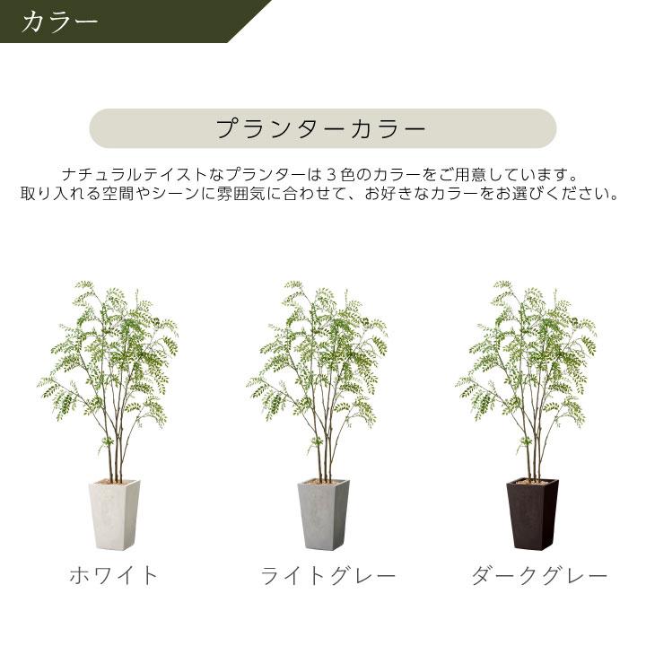 フェイクグリーン鉢セット 大型「シマトネリコ×トールスクエア w/g-eco
