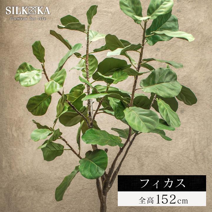 リアル 大型 フェイクグリーン「フィカス（ファイカス） 152cm シルカ