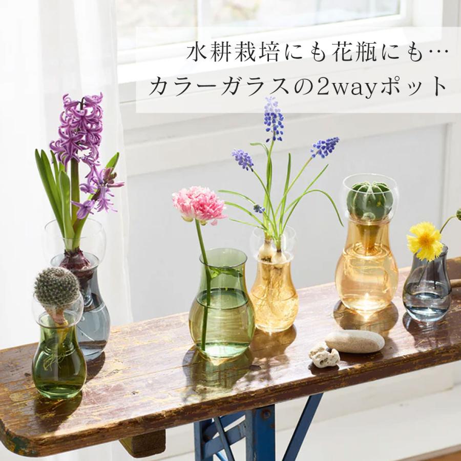 一輪挿し 壁貼付け 吊り下げ 置き型 3WAY 「 Bulbee（バルビー） 」卓上 おしゃれ 室内 球根 セパレート サボテン 多肉植物 ...