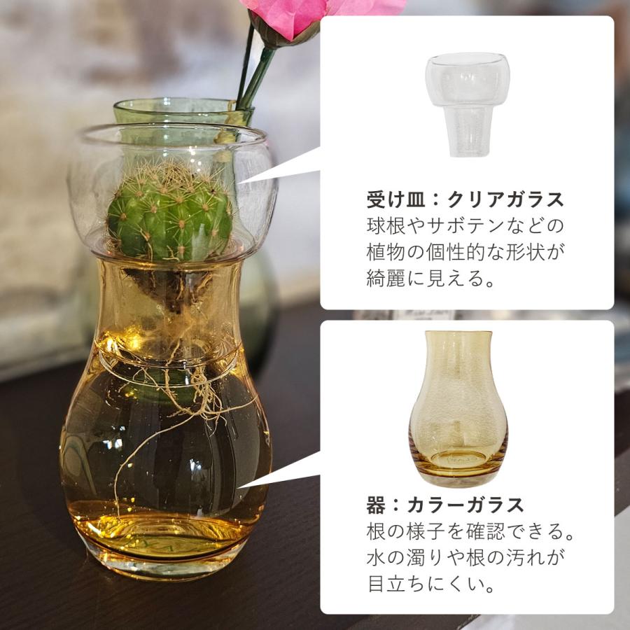 一輪挿し 壁貼付け 吊り下げ 置き型 3WAY 「 Bulbee（バルビー） 」卓上 おしゃれ 室内 球根 セパレート サボテン 多肉植物 ...