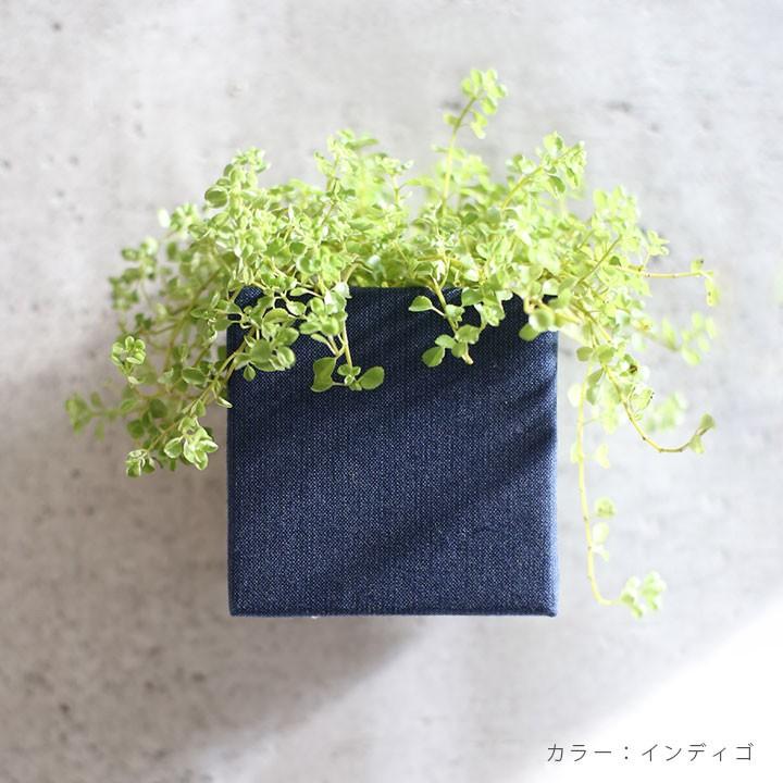プランター おしゃれ 鉢植え 着せ替え ガーデニング 壁掛 「プランターボックス ハコトコ（hacotoco） キューブ 3個セット W110×H110×D117mm」