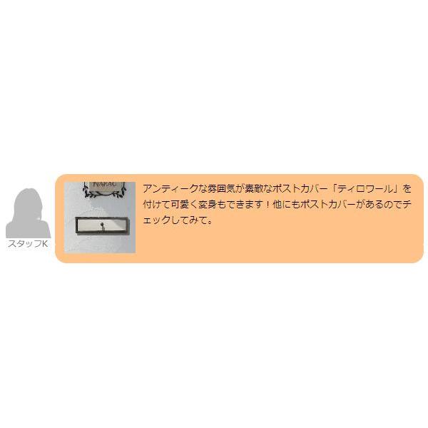 口金ポスト 郵便ポスト 埋め込み 「エクスポスト 2ブロック（2B
