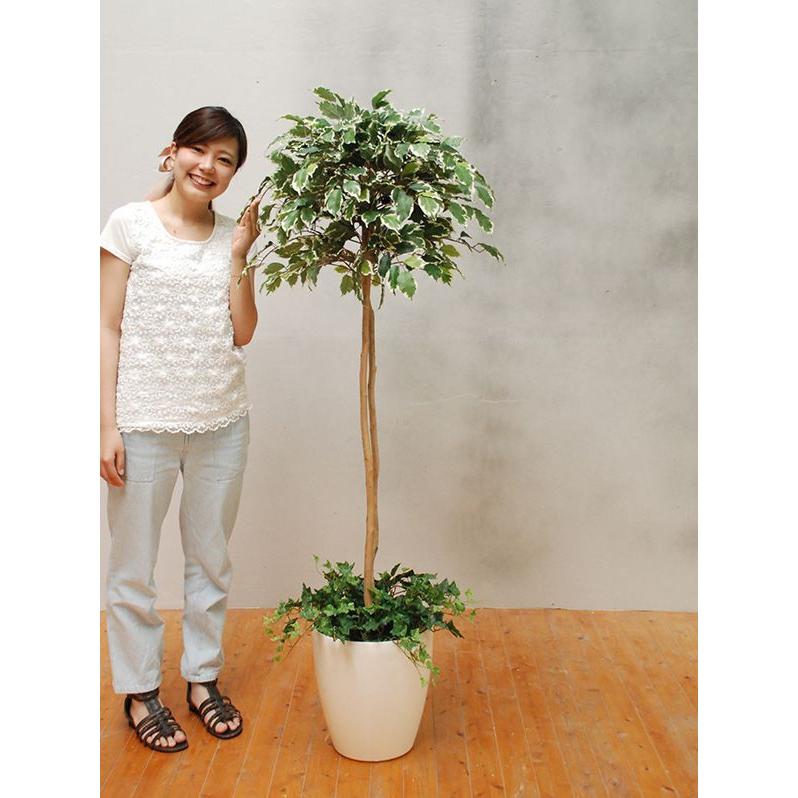 セール 半額以下 観葉植物 インテリア 造花 光触媒 人工観葉植物 人工樹木 オフィス用 光触媒加工済み ベンジャミンハワイアン寄植 155cm 大量限定価格 Antra Com
