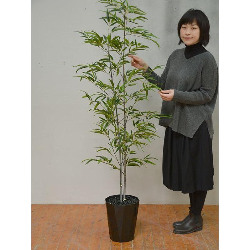 観葉植物 インテリア 造花 光触媒 人工観葉植物 人工樹木 オフィス用 光触媒加工済み 黒竹2本立 180cm