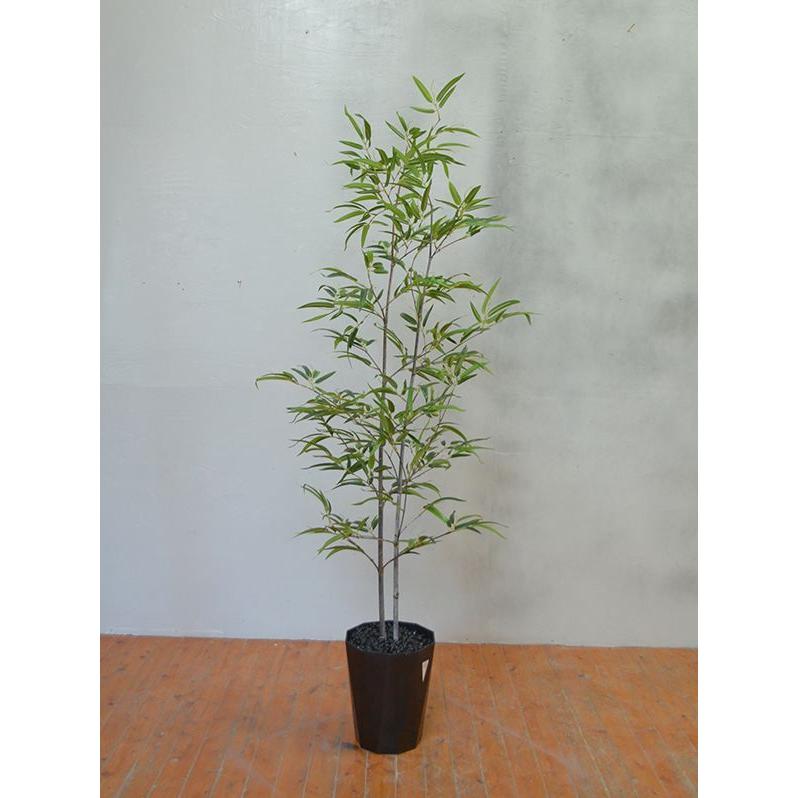 【推し】 観葉植物 インテリア 造花 光触媒 人工観葉植物 人工樹木 オフィス用 光触媒加工済み 黒竹2本立 180cm 【2721002689】(14150円)