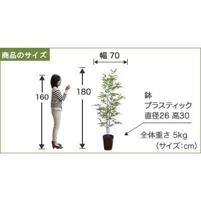 【推し】 観葉植物 インテリア 造花 光触媒 人工観葉植物 人工樹木 オフィス用 光触媒加工済み 黒竹2本立 180cm 【2721002689】(14150円)