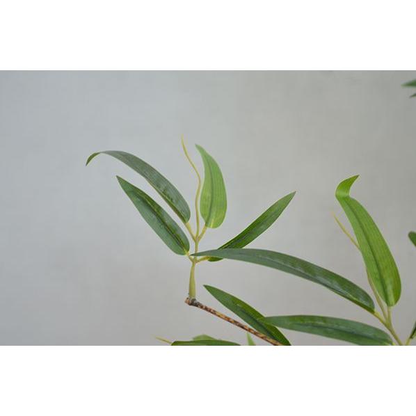 【推し】 観葉植物 インテリア 造花 光触媒 人工観葉植物 人工樹木 オフィス用 光触媒加工済み 黒竹2本立 180cm 【2721002689】(14150円)