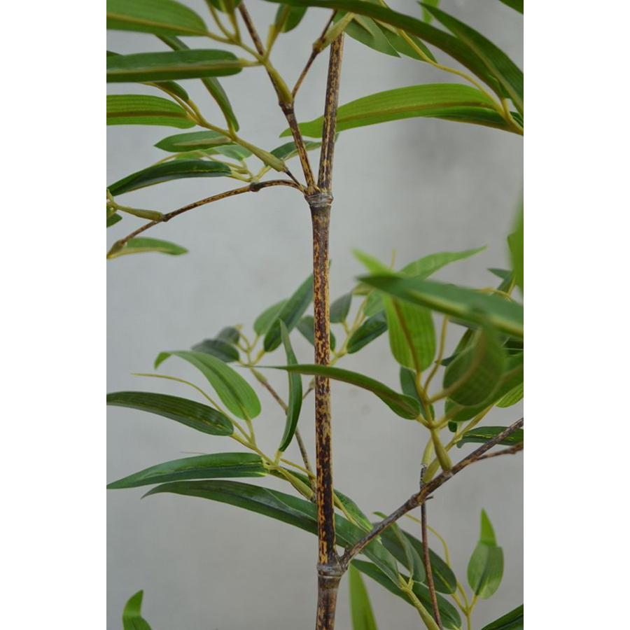 【推し】 観葉植物 インテリア 造花 光触媒 人工観葉植物 人工樹木 オフィス用 光触媒加工済み 黒竹2本立 180cm 【2721002689】(14150円)