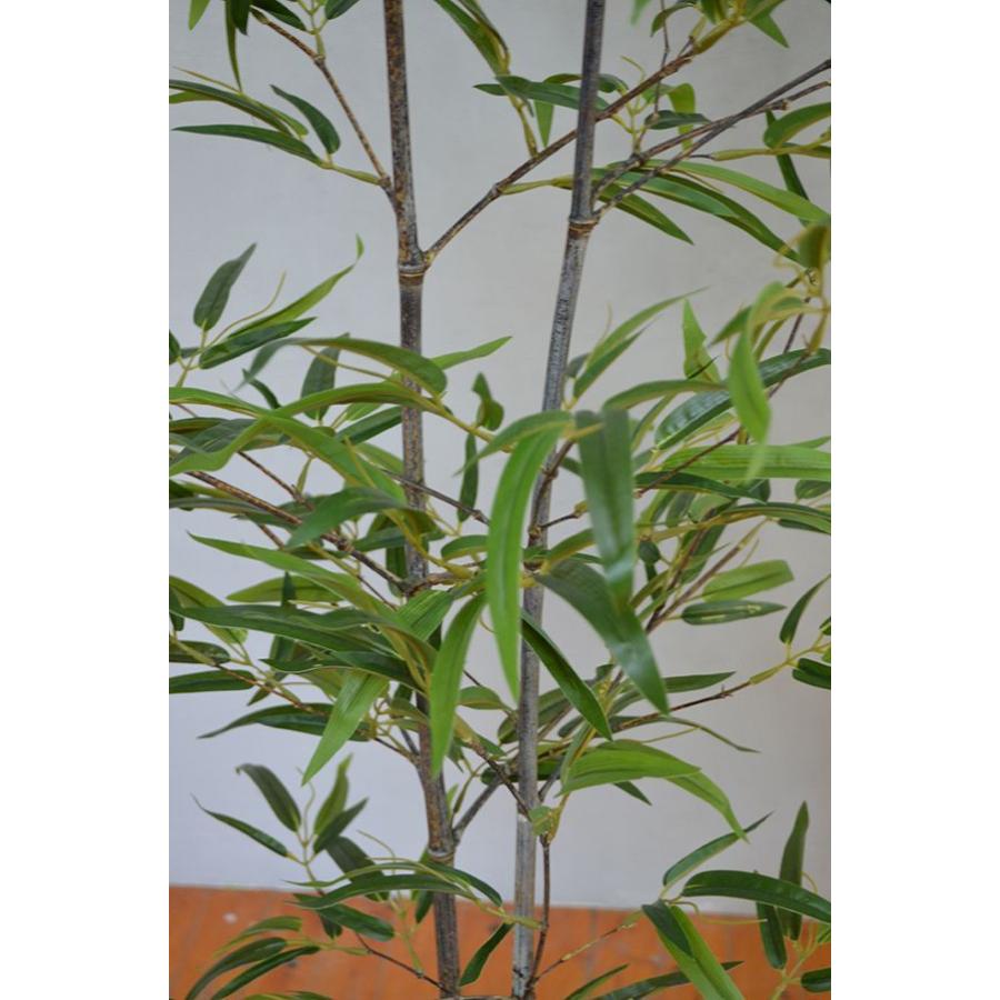 【推し】 観葉植物 インテリア 造花 光触媒 人工観葉植物 人工樹木 オフィス用 光触媒加工済み 黒竹2本立 180cm 【2721002689】(14150円)