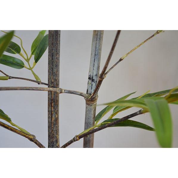 【推し】 観葉植物 インテリア 造花 光触媒 人工観葉植物 人工樹木 オフィス用 光触媒加工済み 黒竹2本立 180cm 【2721002689】(14150円)