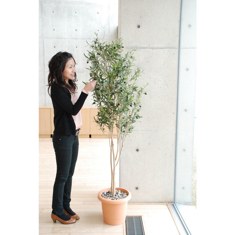 クラシック調 観葉植物 インテリア 造花 光触媒 人工観葉植物 人工樹木 オフィス用 光触媒加工済み グリーンアレンジ オリーブ 180cm Jb Gw 405 お も て な し ボックス 通販 Yahoo ショッピング 安い本店 Foundationbts Com