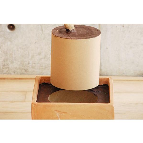 【最安値挑戦中】 観葉植物 インテリア 造花 光触媒 人工観葉植物 人工樹木 オフィス用 光触媒加工済み バーチ 150cm　植える加夢シリーズ 【2605623162】(13550円)