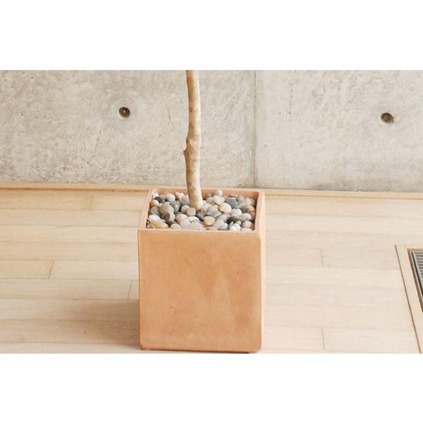 【最安値挑戦中】 観葉植物 インテリア 造花 光触媒 人工観葉植物 人工樹木 オフィス用 光触媒加工済み バーチ 150cm　植える加夢シリーズ 【2605623162】(13550円)