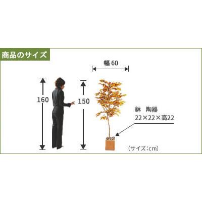 【最安値挑戦中】 観葉植物 インテリア 造花 光触媒 人工観葉植物 人工樹木 オフィス用 光触媒加工済み バーチ 150cm　植える加夢シリーズ 【2605623162】(13550円)