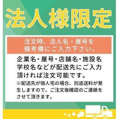 【最安値挑戦中】 観葉植物 インテリア 造花 光触媒 人工観葉植物 人工樹木 オフィス用 光触媒加工済み バーチ 150cm　植える加夢シリーズ 【2605623162】(13550円)