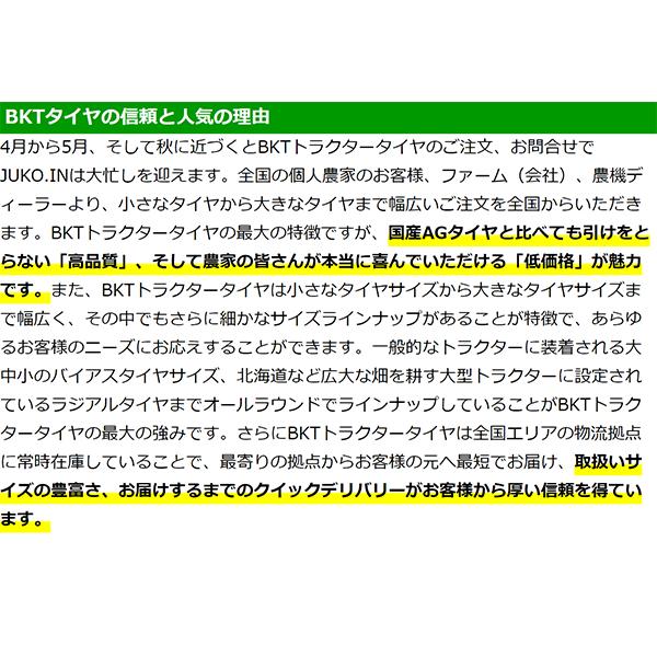 トラクター タイヤ 10.0/75-15.3 8PR チューブタイプ 2本セット BKT AS504｜juko-in｜07