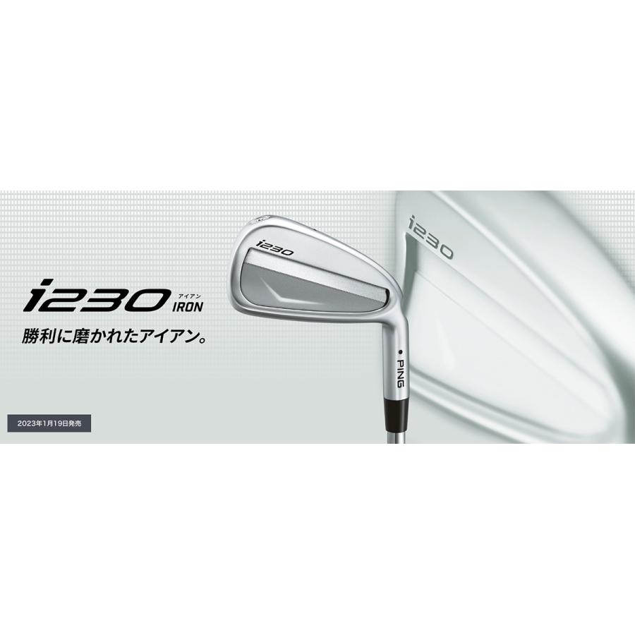 ピン PING i230 アイアン 6本セット(5-9,PW) メンズ ダイナミック