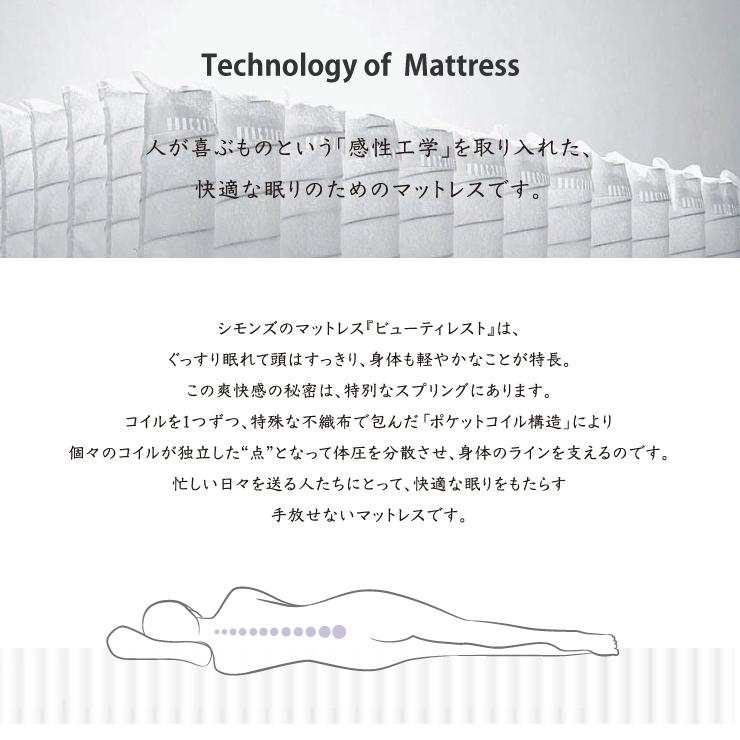 SIMMONS 【受注生産】シモンズ 6.5インチコイル ゴールデン SIMMONS 【受注生産】シモンズ 6.5インチコイル ゴールデン