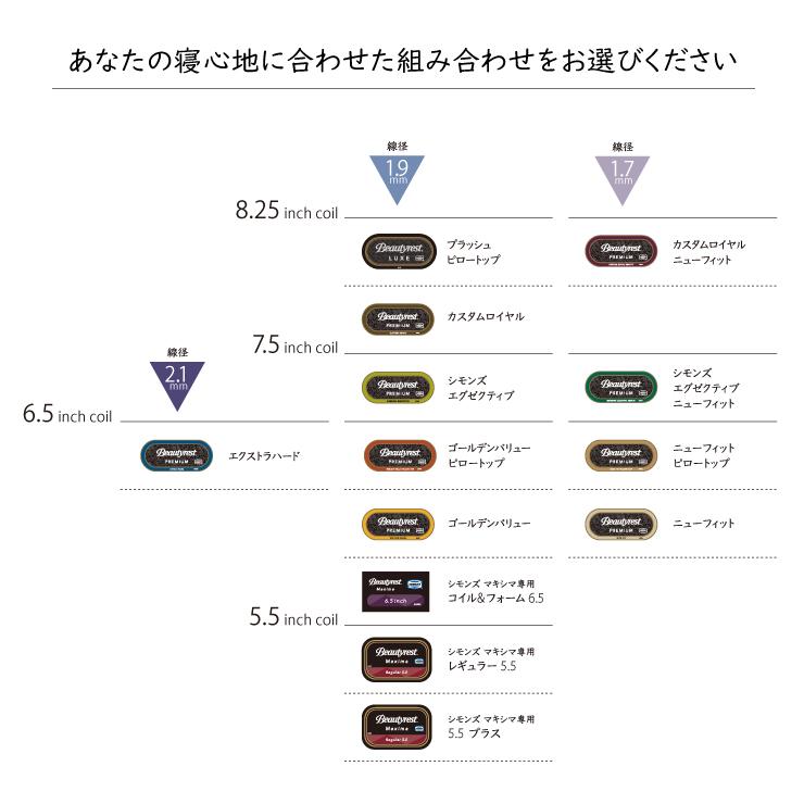 SIMMONS 【受注生産】シモンズ 6.5インチコイル ゴールデン SIMMONS 【受注生産】シモンズ 6.5インチコイル ゴールデン